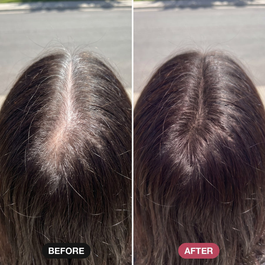 Dyed dark brown, crown see-through in the sun